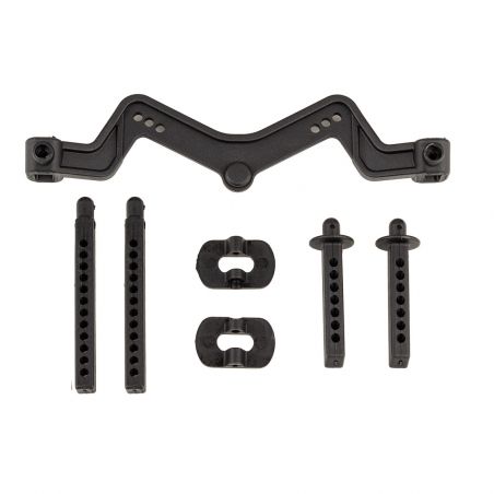 Team Associated LT10 DR10 Body Mount and Posts 71066