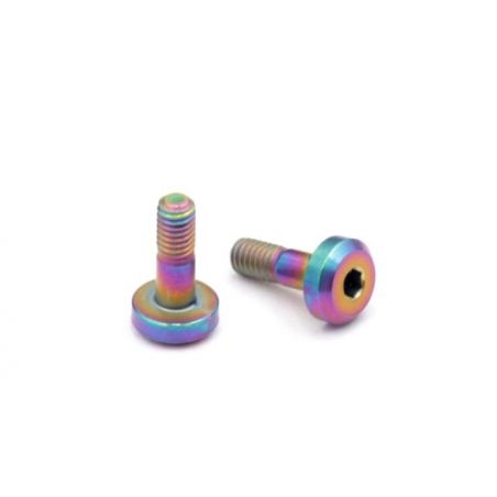 Roche - M3x9mm Ti Motor Screw, Rainbow Color, 2 pcs (550066)