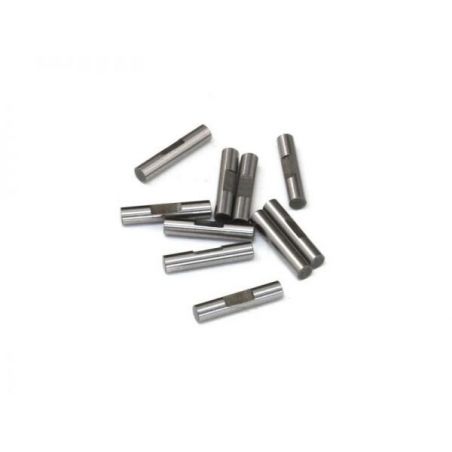 D10083 2x10mm Destiny Shaft Pin incl. Lock Slot