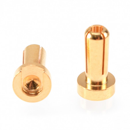 RUDDOG 4mm Gold Plug Male 12mm (2pcs)  RP-0181