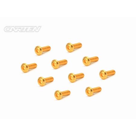 CARTEN Screw Set 12.9- BH M3x10(Gold Coating) (10) - GBH0310