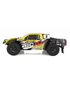 Team Associated Pro4 SC10 Brushed RTR Combo AE20532C