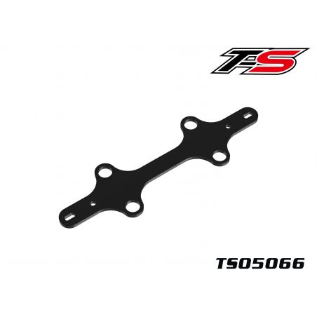 TS05066 Glass Fiber Front Link Team SAXO